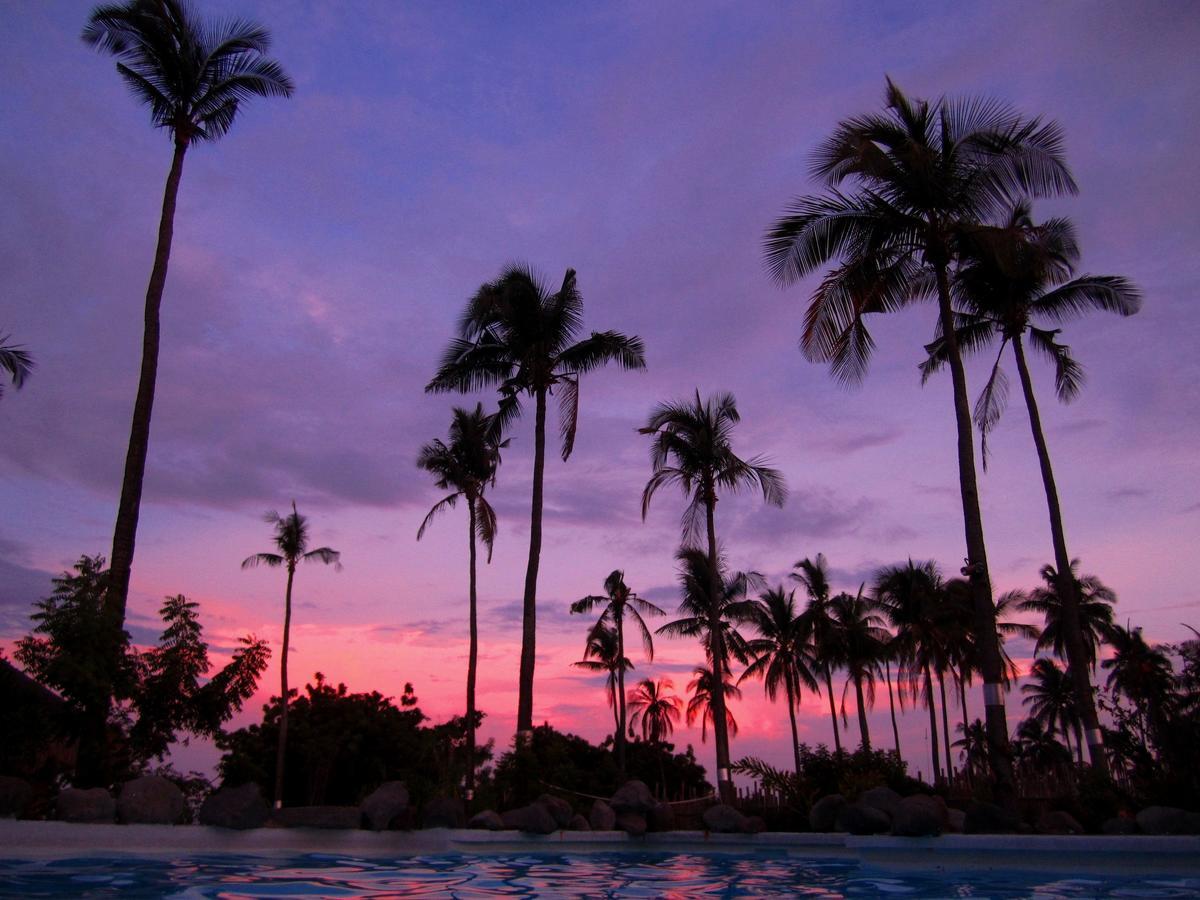 Liquid Dive Resort Dauin Exterior foto